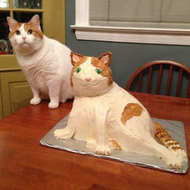 15. 