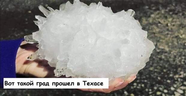 15 фото о том, что природа не только прекрасная, но и невероятно дикая