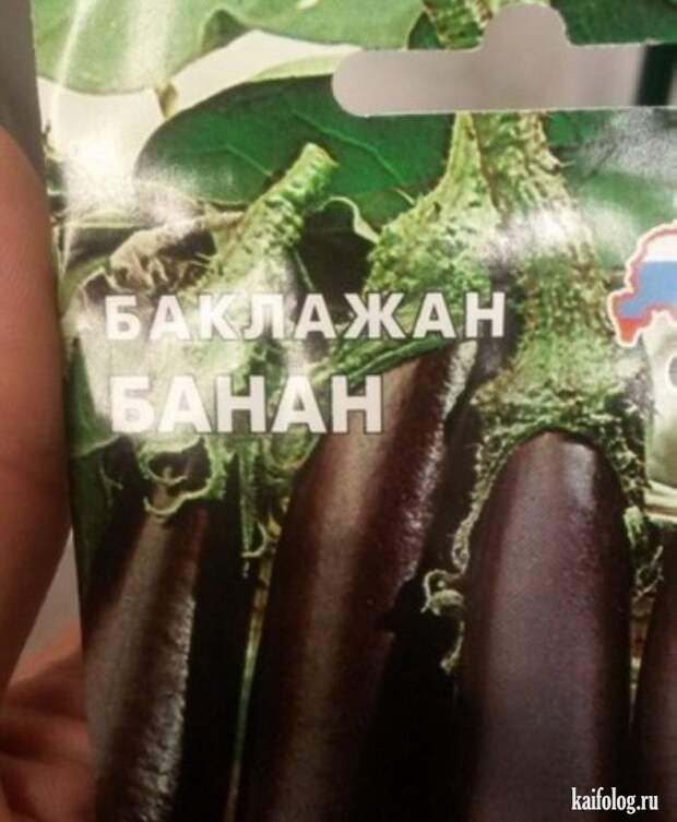 Прикольные семена (35 фото)