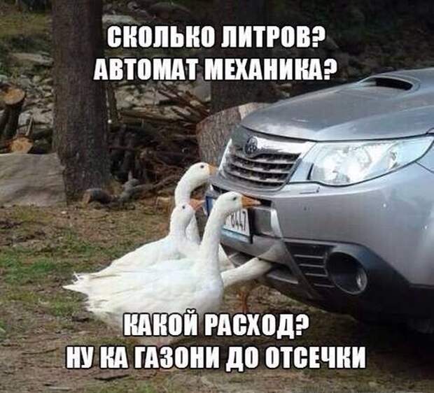 Автоюмор для автомобилистов и пешеходов (40 фото)