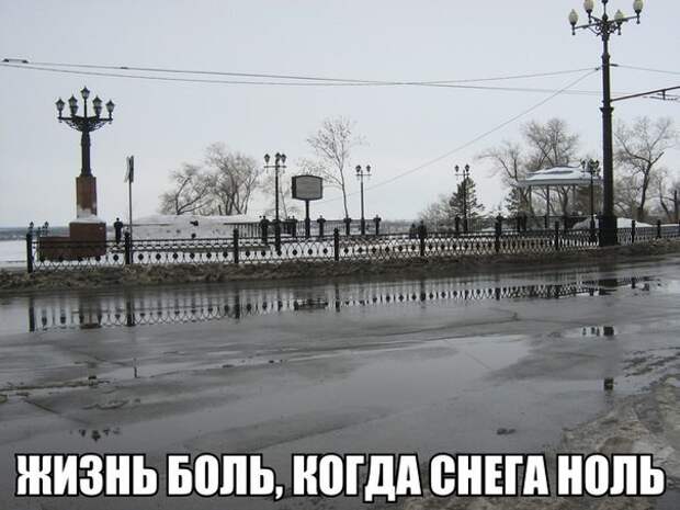 Смешные картинки с надписями прикол, юмор