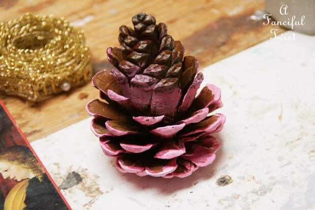 Pinecone flowers 16