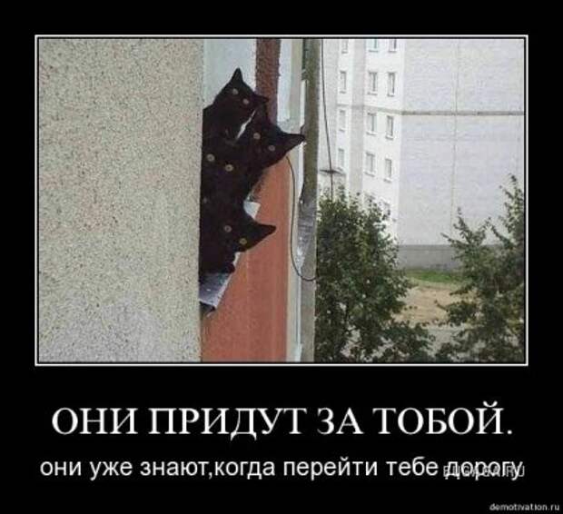 Улыбаемся!!!