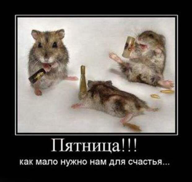 Ржачная порция демок