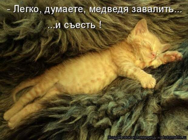Мысли вслух :)