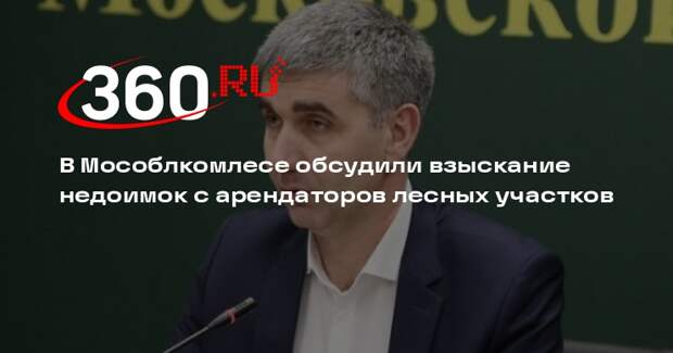 Арендаторов предупредили о последствиях уклонения от платежей за лесные участки