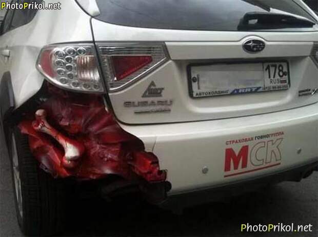 Автоприколы (48 фото) Автоприколы (48 фото)