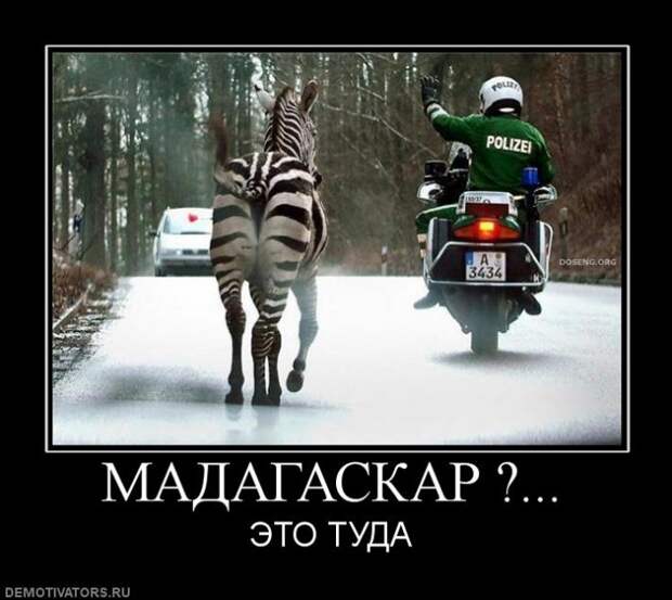 Давайте улыбаться вместе :)