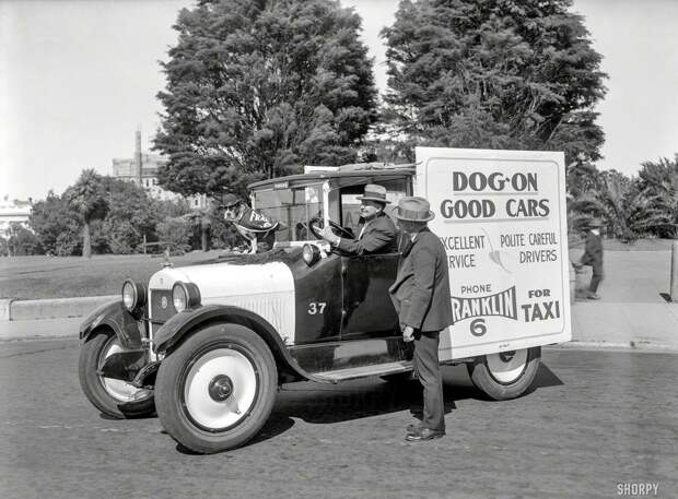 Такси для перевозки собак (1924 год) авто, олдтаймер, ретро фотографии, старинные автомобили