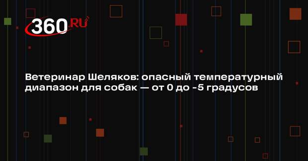 Ветеринар Шеляков: опасный температурный диапазон для собак — от 0 до -5 градусов