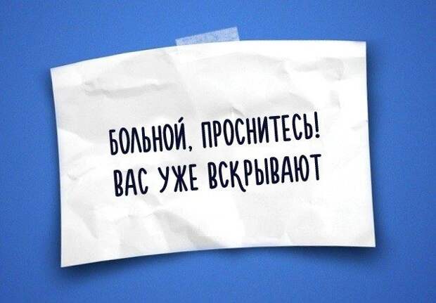 Юмор жизни в одностишьях