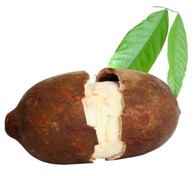 Купуасу