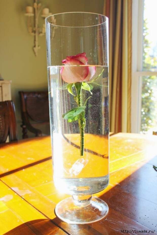 IMG_1468 (466x700, 214Kb)