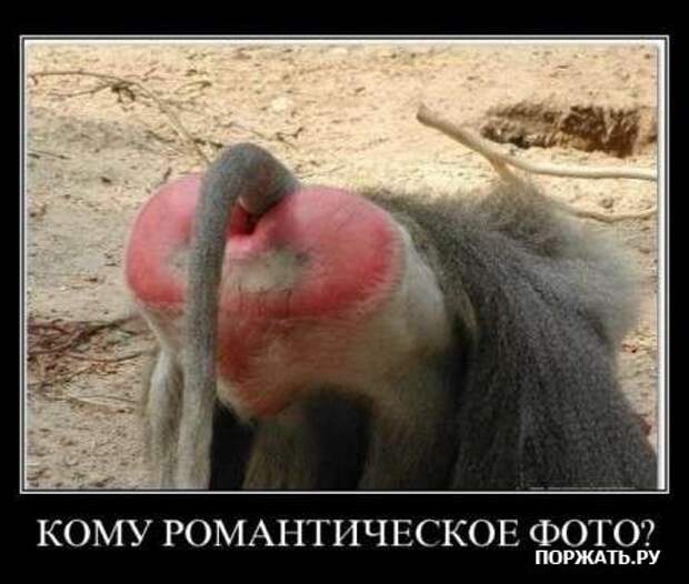 Демы свеженькие