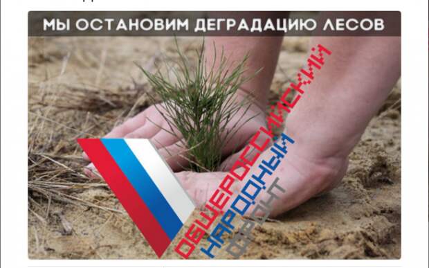 ОНФ предлагает следить за лесовосстановлением через спутники ОНФ предлагает следить за лесовосстановлением через спутники