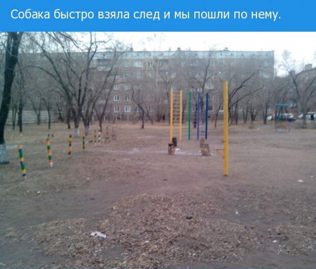 Как владелец ВАЗа злоумышленника ловил Как владелец ВАЗа злоумышленника ловил злоумышленник, кража
