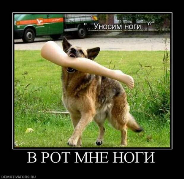 Демотиваторы, много новых и только прикольных.
