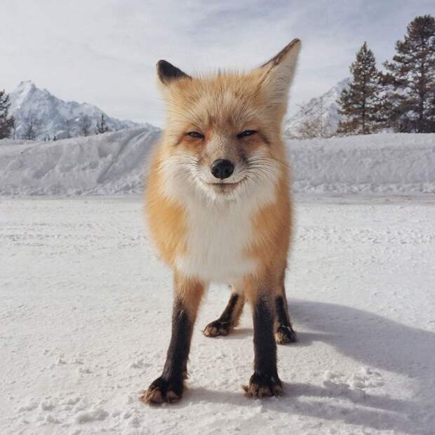 iphone photography award фото сделанные на смартфон