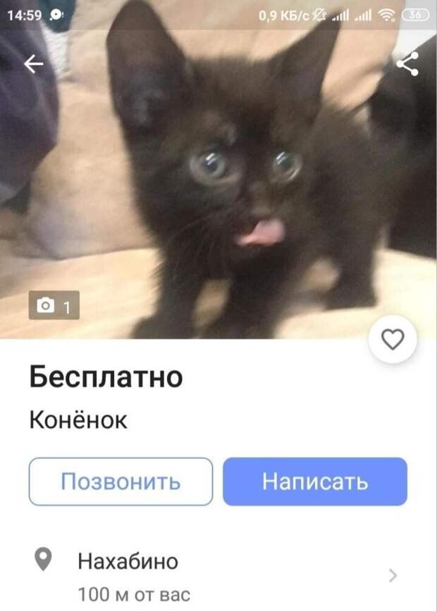 А почему ребенка коня зовут жеребенок, а не коненок? А почему ребенка коня зовут жеребенок, а не коненок?