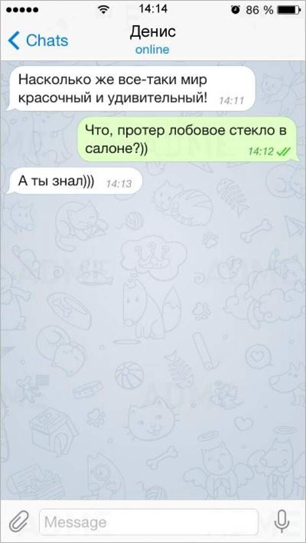 15 СМС от людей с бесценным жизненным опытом смс, юмор