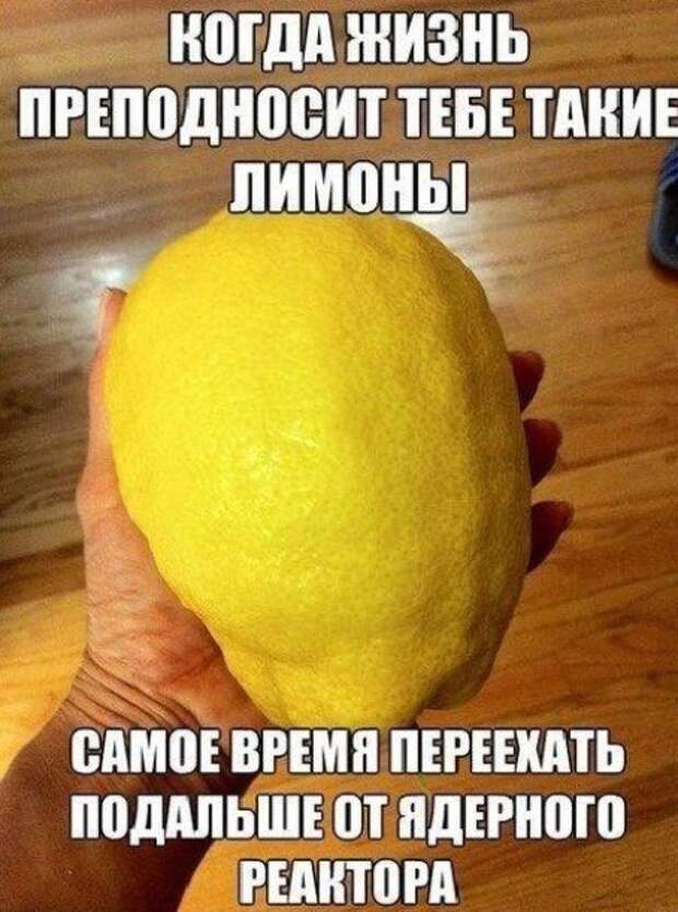 Народные приметы зрят в корень! Народные приметы зрят в корень! народные приметы, прикол