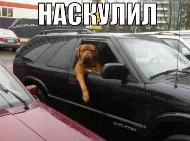 Автомобильный юмор авто, юмор