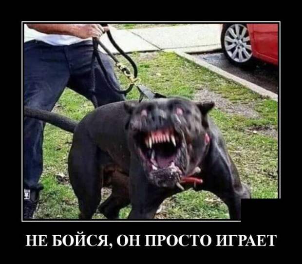 demotivatory-demotivator-smeshnye-demotivatory-demotivator-so-smyslom