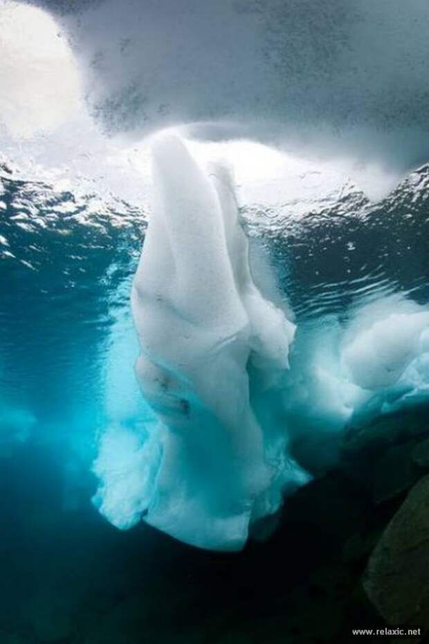 Фото подо льдом. Подо льдом. Вода подо льдом. Подводный лед. Море подо льдом.