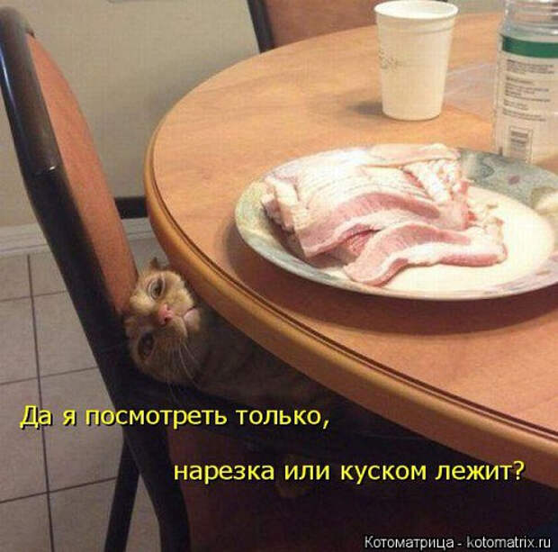 woRI0ibUTMc (485x480, 200Kb)