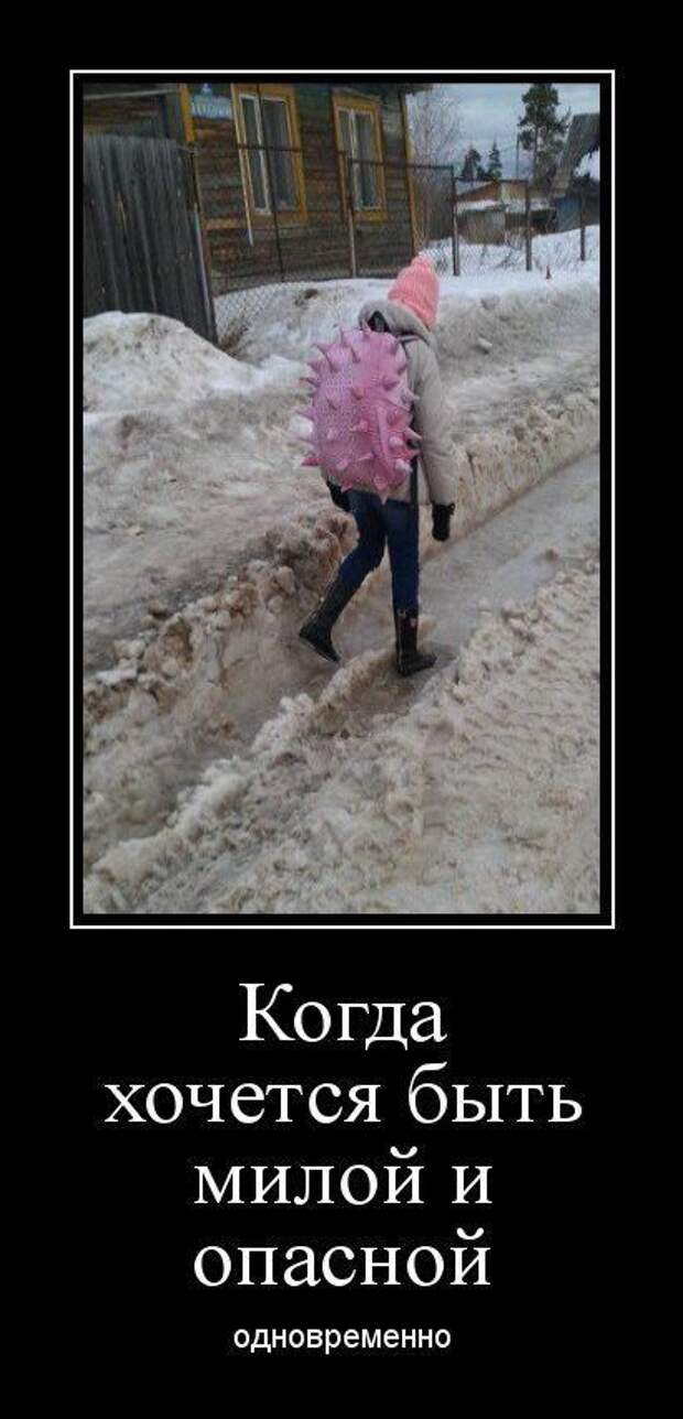 Демотиваторы