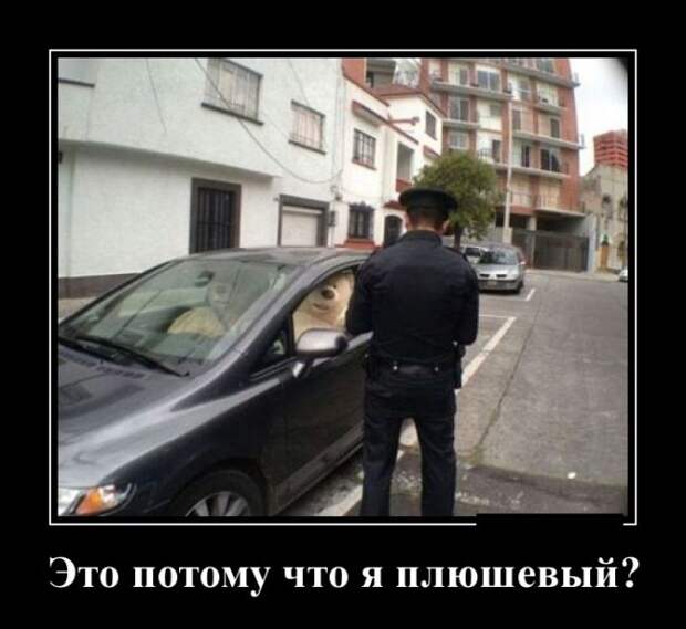 Демотиваторы (30 фото)