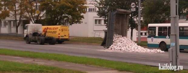 Лучшие приколы года (135 фото)