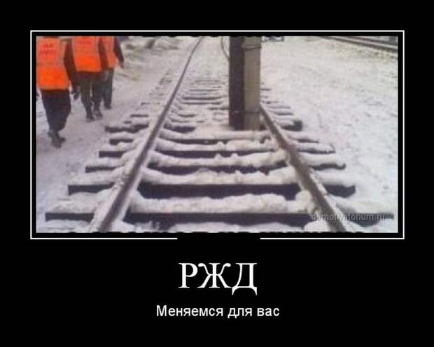 Подборка демотиваторов Подборка демотиваторов демотиваторы, юмор