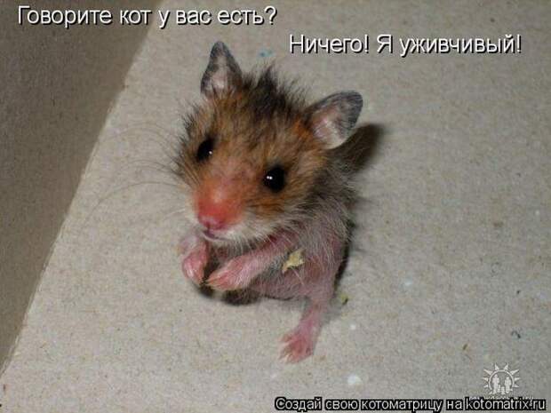 Мысли вслух :)