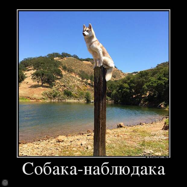 Место встречи изменить нельзя! 3
