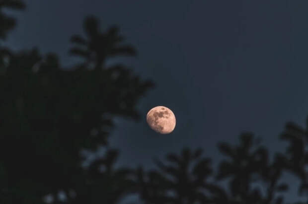 Астроном Богачёв: 2 апреля ожидается «розовая» Луна