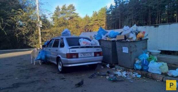Смешные автомобильные приколы (40 фото)