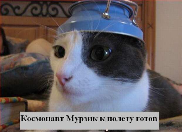 Мысли :) (50мыслей)