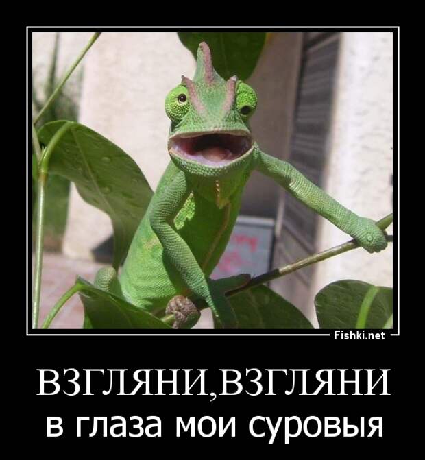 Демотиваторы демотиваторы, прикол, смех, юмор