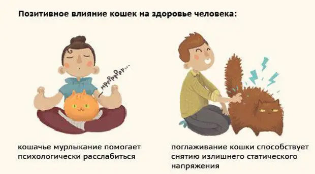 Состояние организма возникающее в результате деятельности: найдено 84 картинок
