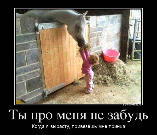 Демотиваторы демотиваторы, картинки, приколы
