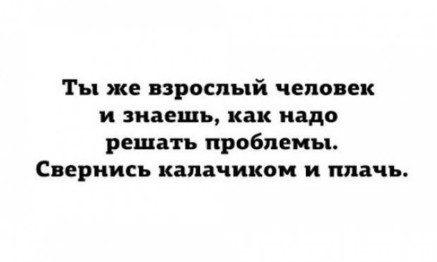 остроумные аткрытки 