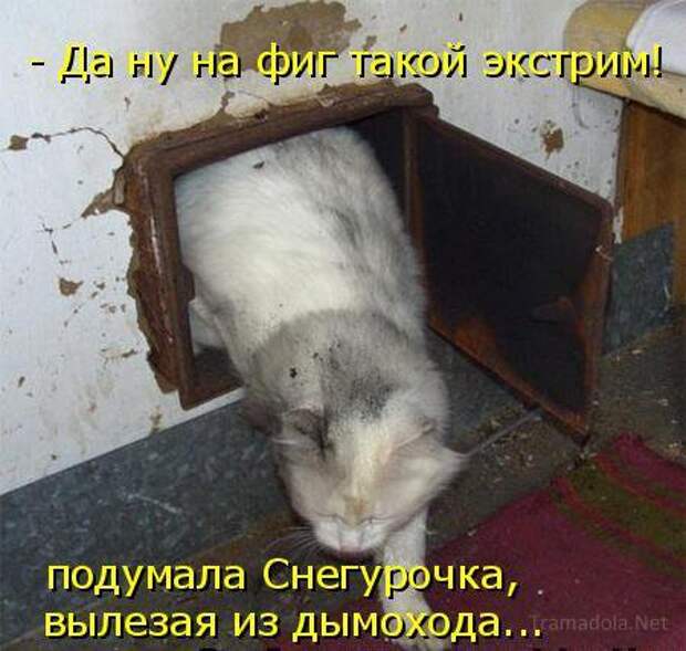 Летняя подборка Котоматриц 2010 - Выпуск 18