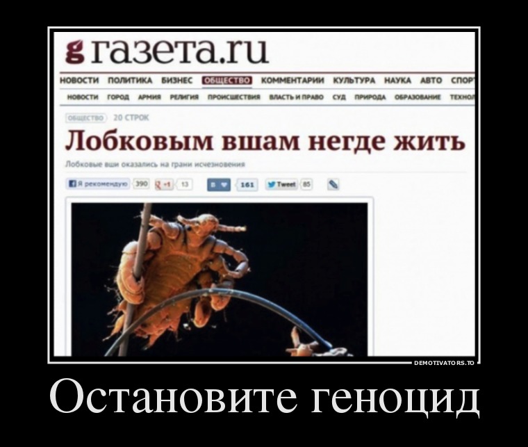 Демотиваторы демотиваторы, прикол, смех, юмор