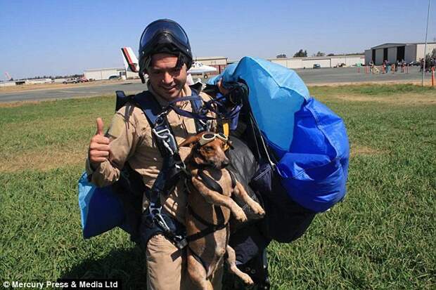 Nathan, a photographer from San Francisco, has made more than 400 jumps in his lifetime but this was the first time he had taken his canine companion along
