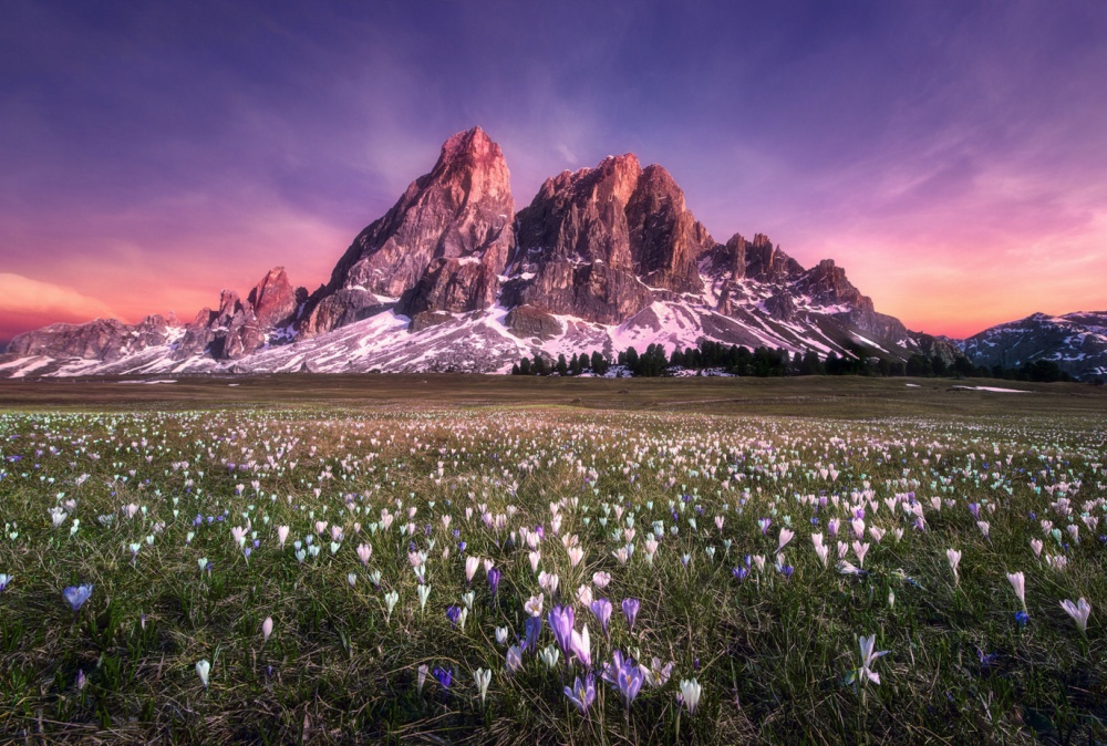 25-Photos-Which-Charmed-Even-Professional-Photographers-Artnaz-Com-23