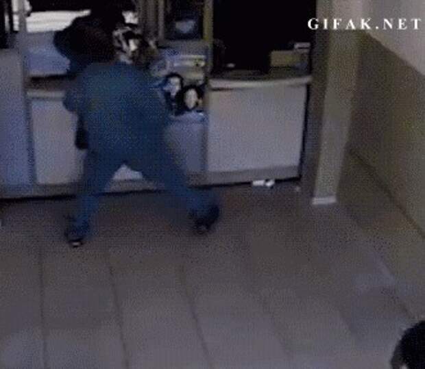 Гифки дня анимация, гифки