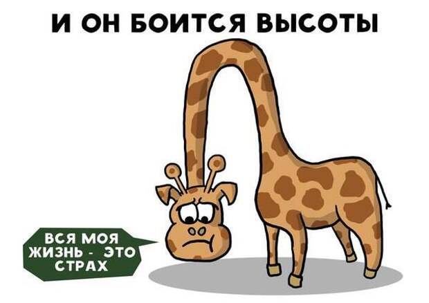 история про жирафа Жору