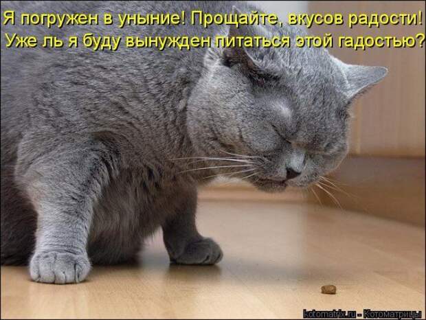 Мысли вслух :)