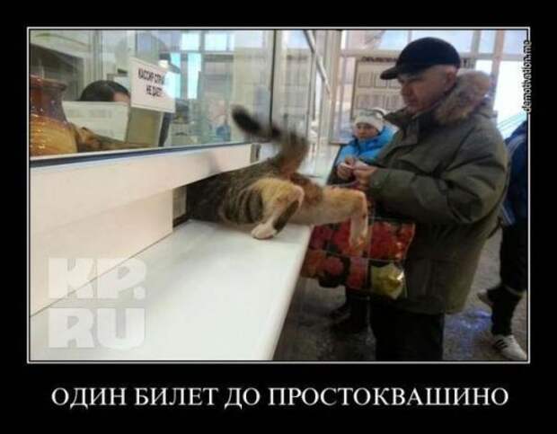 Пачка демотиваторов №1 - продолжение следует Пачка демотиваторов №1 - продолжение следует